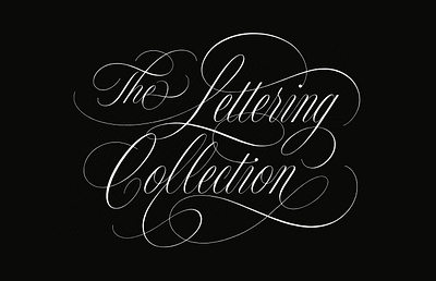 The Lettering Collection calligraphy design font font logo hand lettering lettering wordmark