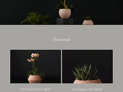 Crosby - Website Template - Squarespace app art blog branding concept design graphic design online store photography squarespace template theme ui ui design ux ux design web web design web development website