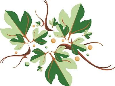 green leaf design graphic design illustration ux vector