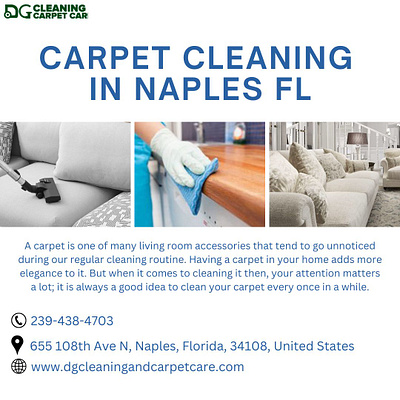 Hire The Best Cleaning Company For Home Carpets In Naples home carpet cleaning naples