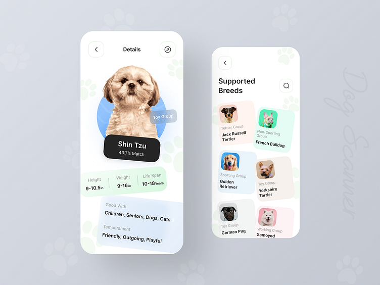 Dog Scanner - Breed Recognition App by MQoS UI/UX for MultiQoS on Dribbble