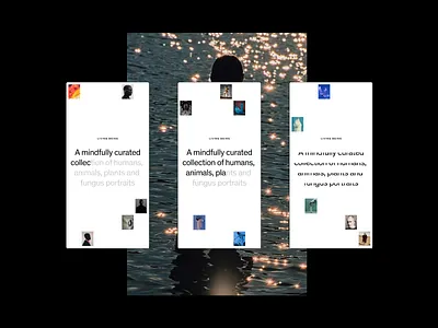 Editorial text & image component design design exploration editorial grid layout minimal mobile type ui