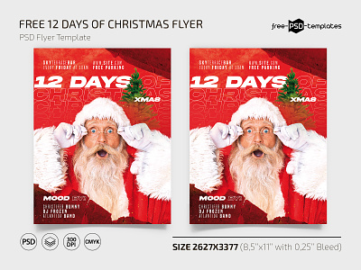 Free Christmas Flyer designs, themes, templates and downloadable graphic  elements on Dribbble