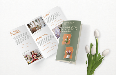 Brochure Leaflet Design advertising brand identity branding brochure brochure design design graphic design leaflet logo