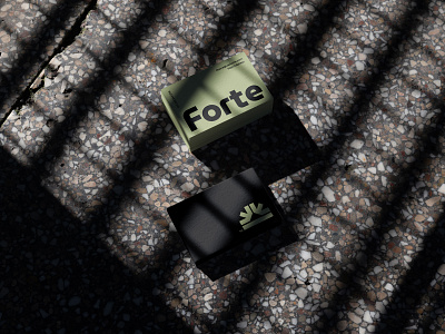 Forte™ branding design graphic design logo vector