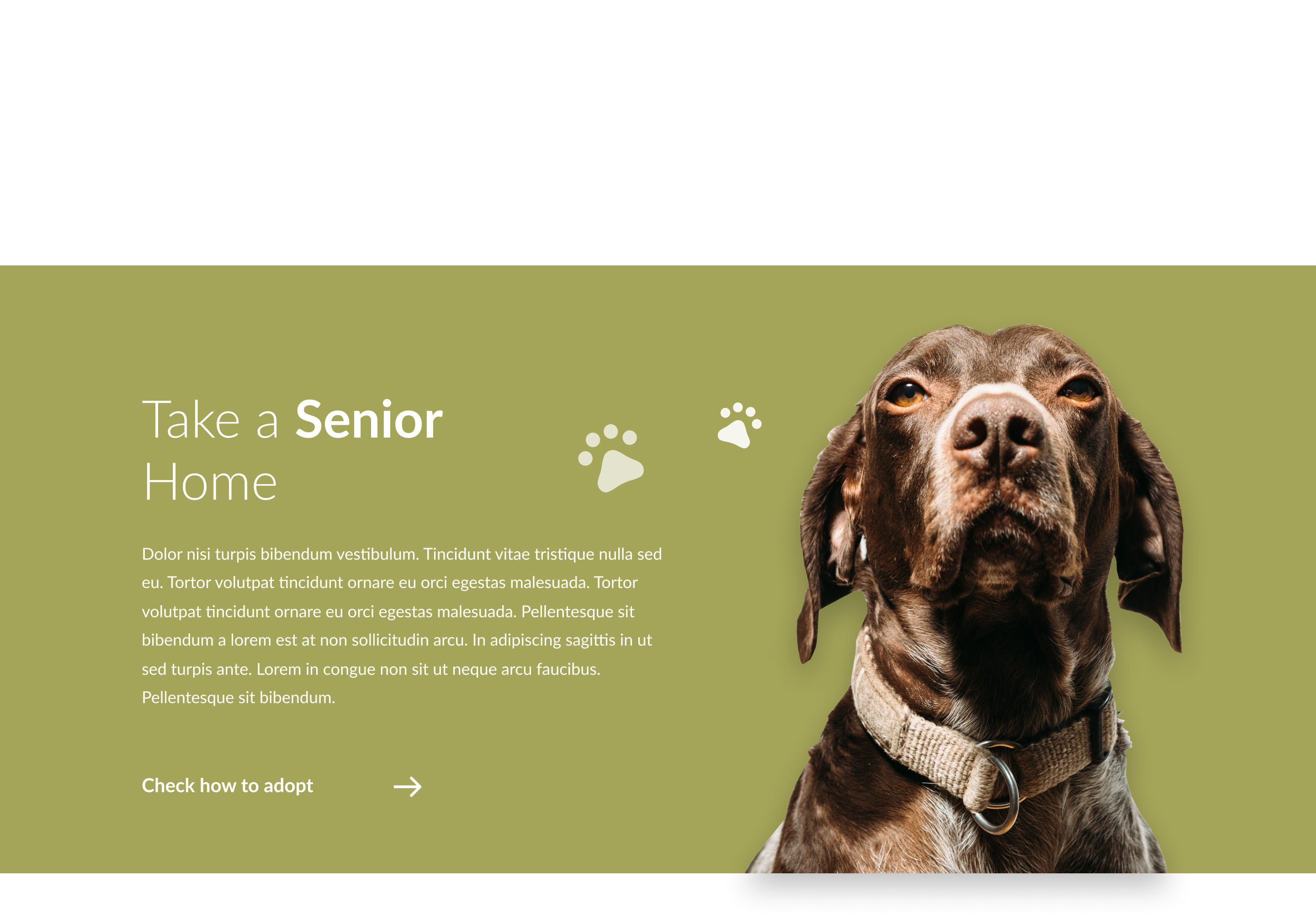 Example of Graphic Design