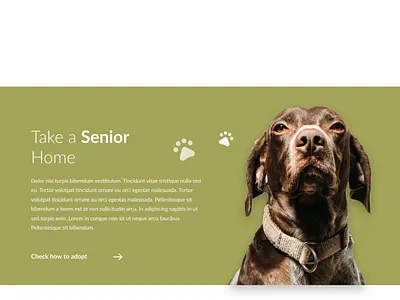 Page Section Case Study design ui ux web design