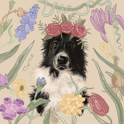 Luna dog illustration pet portrait procreate