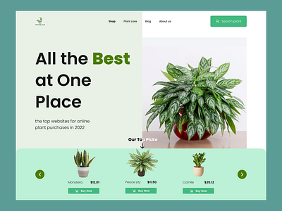 Plant Shop Website app design full landing page landing page logo ui ux