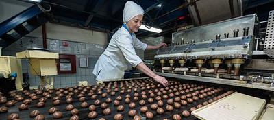 Food Quality Management Software for Manufacturing Industry foodqmssoftware qmsforfood qmsinfood qmssoftware