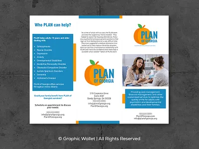 Plan of Georgia - Brochure_1 3d animation branding design graphic design graphicwallet illustration logo motion graphics typography ui ux vector