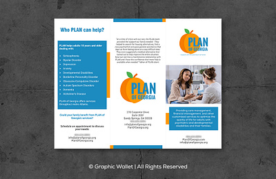 Plan of Georgia - Brochure_1 3d animation branding design graphic design graphicwallet illustration logo motion graphics typography ui ux vector