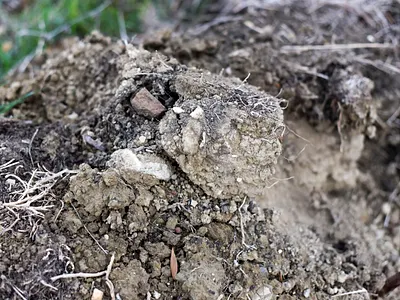 soil on earth's soil