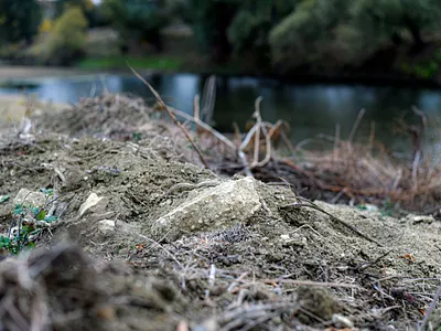 Land soil with lake