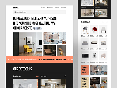 BLUMY Modern Furniture Project 3d branding design graphic design icon illustration logo typography ui ux vector