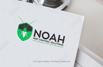 Noah Pest Control Solutions 3d animation branding design graphic design graphicwallet illustration logo motion graphics typography ui ux vector