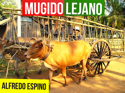 MUGIDO LEJANO ALFREDO ESPINO 🐂👨🏾‍🌾 | Jícaras Tristes alfredo espino antologia poetica design el salvador infantil jicaras tristes literatura mugido lejano poema poesia valentina zoe valentina zoe poesia valentina zoe tv