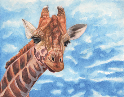 Head in the Clouds animal blue sky clouds colored pencil giraffe illustration optimism portrait traditional media watercolor watercolor pencil wildlife