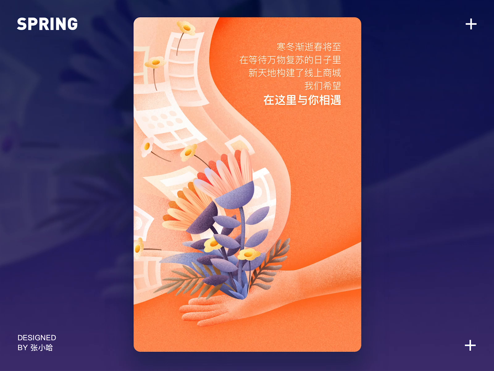 Spring Hope Graphics Spring by Zhang 张小哈 on Dribbble