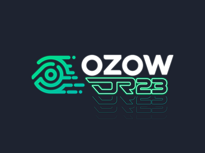 OzowDR23 Logo Design brand brand design branding car daytona rally design digital design graphic design logo logo design neon payments supercars user experience ux visual design