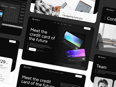 Homepages - Bnkly X | Bank Webflow Website Template tech