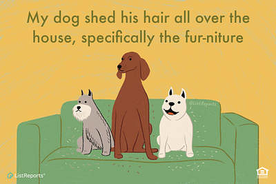 Doggos animals couch dog dogs illustration pets