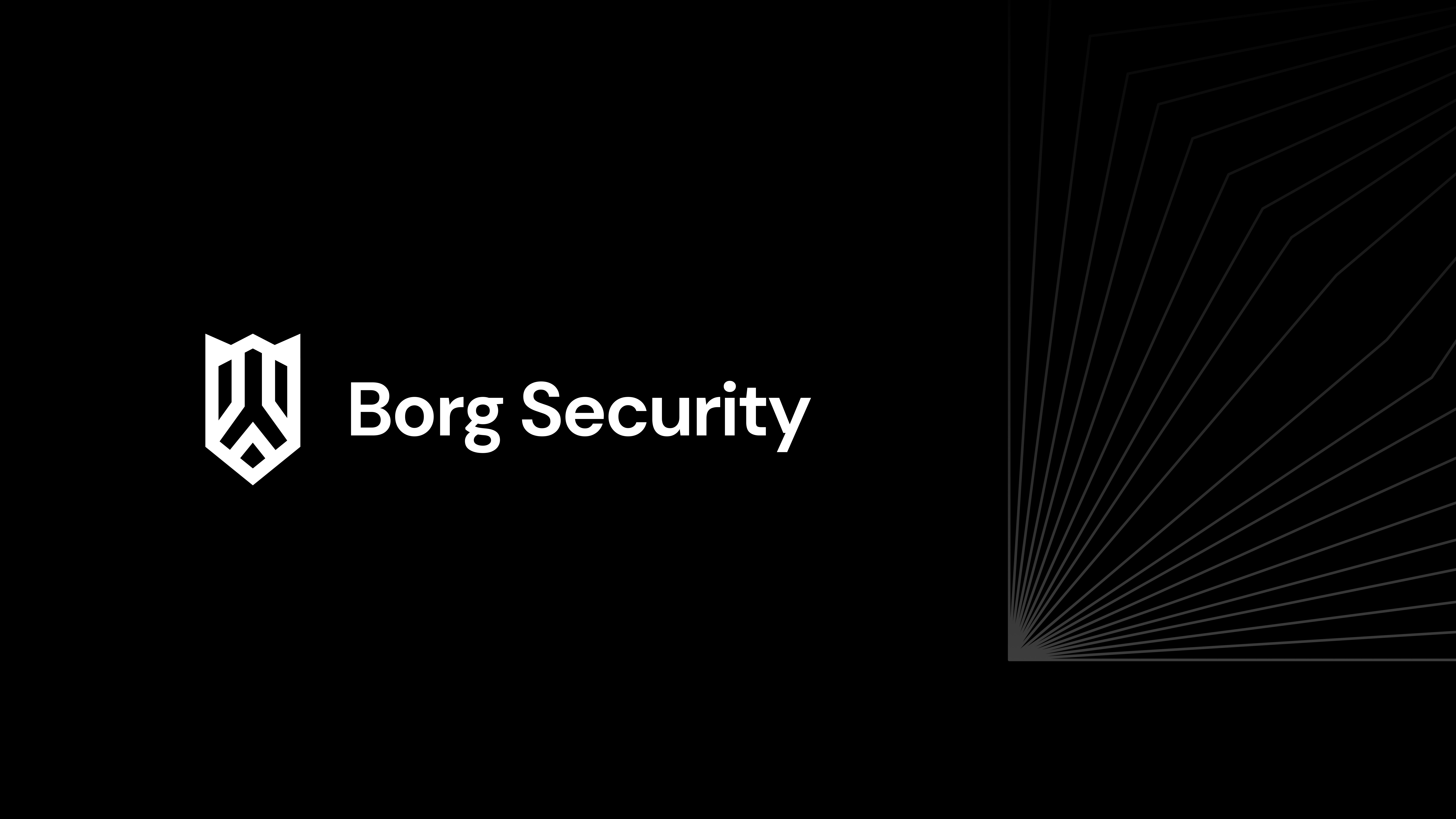 Borg Security Website, Logo and Branding animated black crypto dark lines microanimations minimal night pentesting security svg website