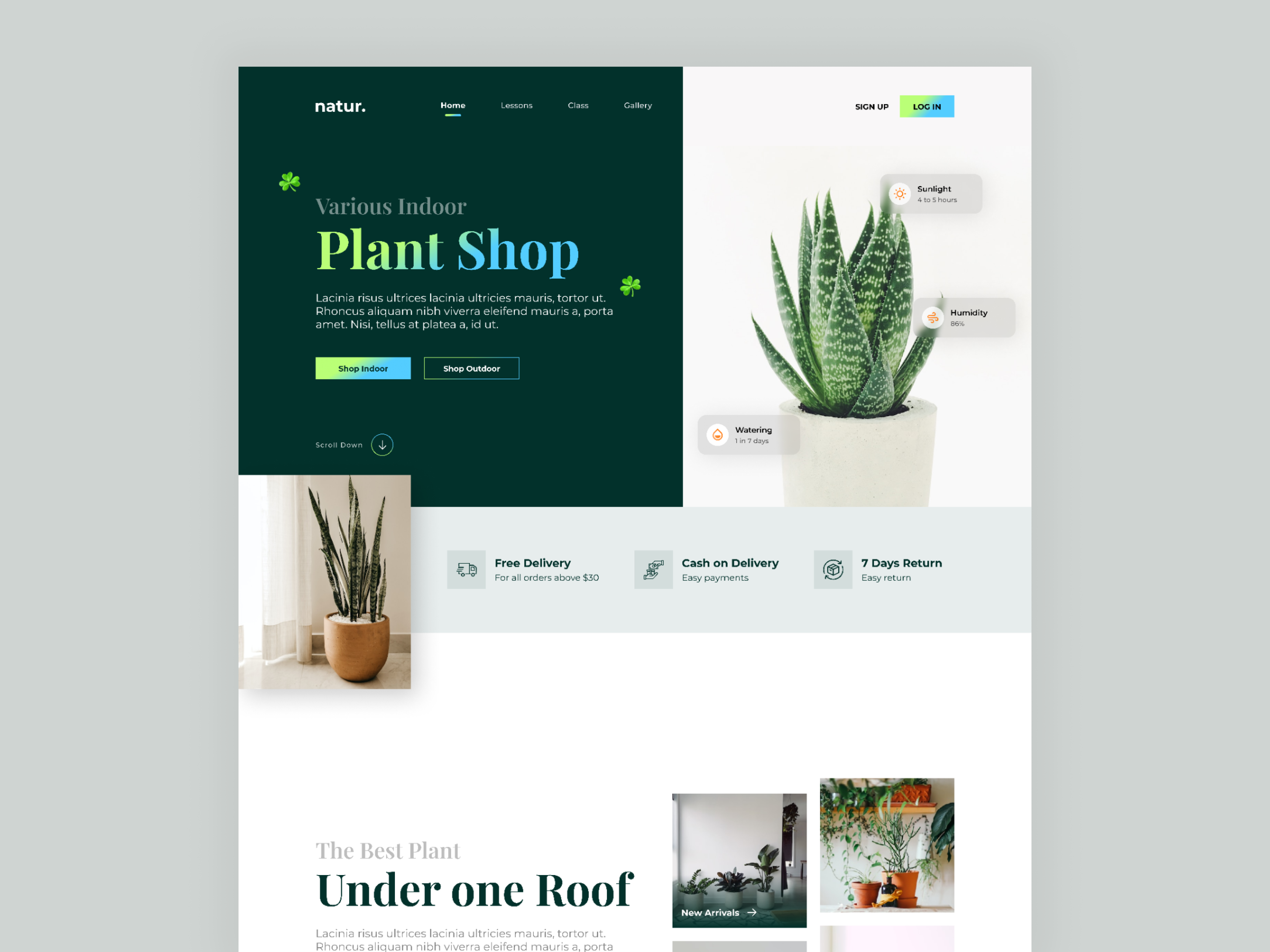 Example of High Impact Website Design (10 Pages)