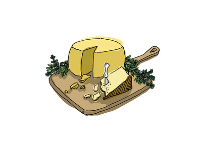 Cheese Board Illustration design graphic design illustration