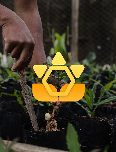 Logo design for agronomic business art branding design figma graphic design grow logo natural nature plants sunflower vector yellow