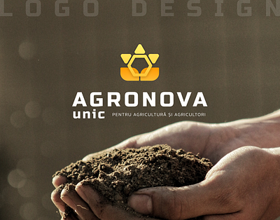 Logo design for agro business agro art artwork branding design figma graphic design identic logo rebranding sunf sunflower vector yellow