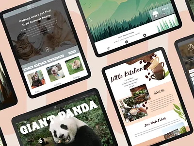 Digital Experience & Interactive Design Major @Curtin University app code creative css design designer frontend html ui ux website websitedesign