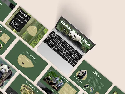 Giant Pandas 101 - Educational Website (Front end coding) app code coding css design frontend html javascript ui ux website websitedesign