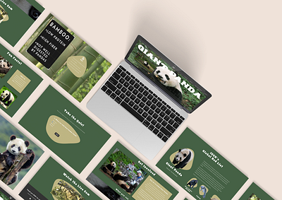 Giant Pandas 101 - Educational Website (Front end coding) app code coding css design frontend html javascript ui ux website websitedesign