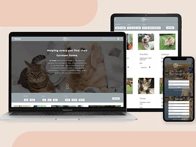 Meow - Pet Adoption Full Stack Website app back end code design front end fullstack github ui ux website websitedesign