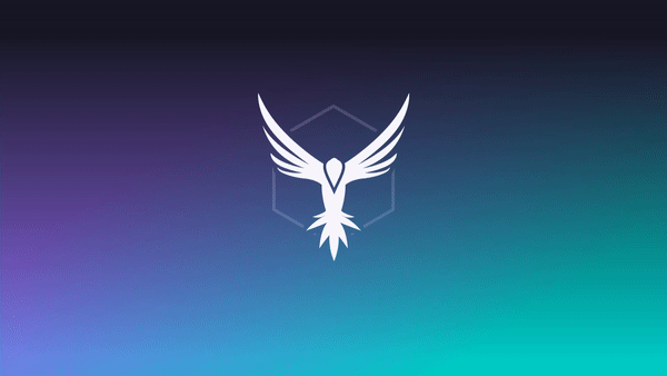 StackHawk animation hawk intro logo stackhawk video