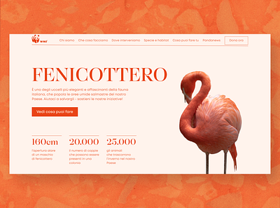 Header For World Wildlife Fund Website brand identity carity dailyuichallenge design graphic design header landing landing page main page new site sito ui ux web webdesign website