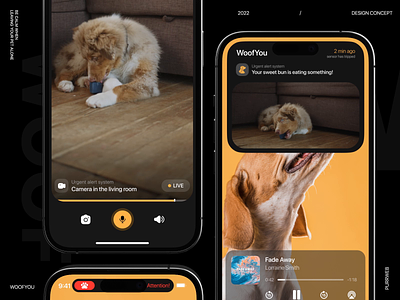 Mobile IOS App for Video Surveillance of Pets android animation app app interaction app ui camera dashboard design interaction ios mobile mobile app notifies pet stream surveillance ui uiux ux video