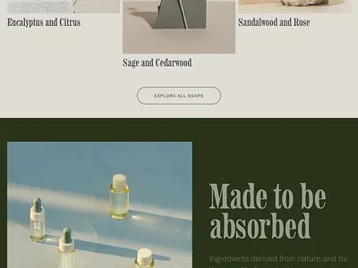 AltaLoma - Squarespace Website Template clean colorful company corporate design modern multipurpose multipurpose template photography pitch deck portfolio presentation squarespace squarespace template studio template unique web design web development website