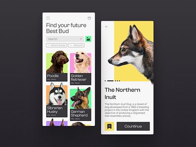 Best Bud; A Dog Lover's Resource animal app art blog branding camera colorful design dog friend graphic design illustration logo minimal mobile pet ui ux vector web