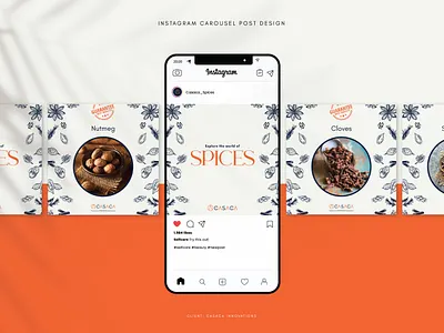 Insta Carousel Ad Design - Casaca branding design dribbble graphic design logo vector