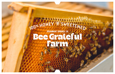 Bee Grateful Farm branding honey packaging