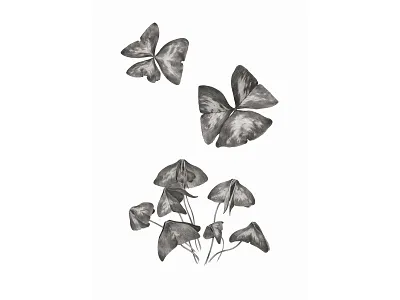 Pencil Drawing botanical art botanical drawing branding design graphic design hand drawing illustration illustrator minimal art minimalism pencil art pencil drawing vector wall art wall decoration wall print