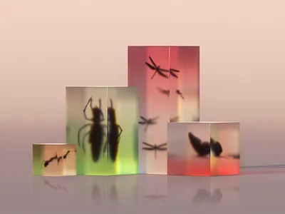 Bugzzzz 3d animal art artist artwork c4d clean colorful creative digital glass graphic design illustration low poly minimal minimalism modern octane photoshop render