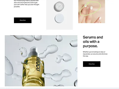 Maca - Website Template - Squarespace clean colorful company corporate modern multipurpose multipurpose template photography pitch deck portfolio presentation squarespace squarespace design squarespace template studio template unique web design web development website