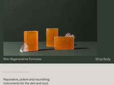 Saltless - Website Template - Squarespace clean colorful company corporate modern multipurpose multipurpose template photography pitch deck portfolio presentation squarespace squarespace design squarespace template studio template unique web design web development website