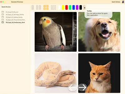 Daily UI: DAY 87 Tooltip branding design graphic design illustration ui