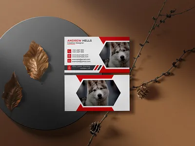 Modern business card design branding business card design design graphic design illustration