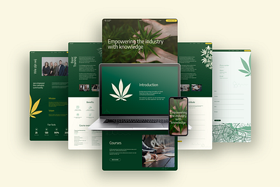 Cannabis Career brand design brand identity branding cannabis cannabis branding digital design education graphic design logo logo design ui visual design website design website redesign