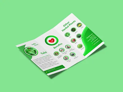 Trifold Brochure Design 3d ayurveda branding brochure brochure design brochure mockup brochures clean brochure graphic design green brochure herbal herbal plants medicinal plants nature nature brochure neem plants trifold brochure trifold brochure design tulsi